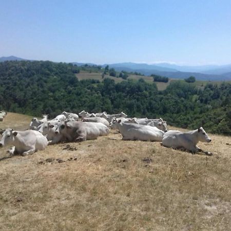 Residenza Anastasia Ceva Buitenkant foto