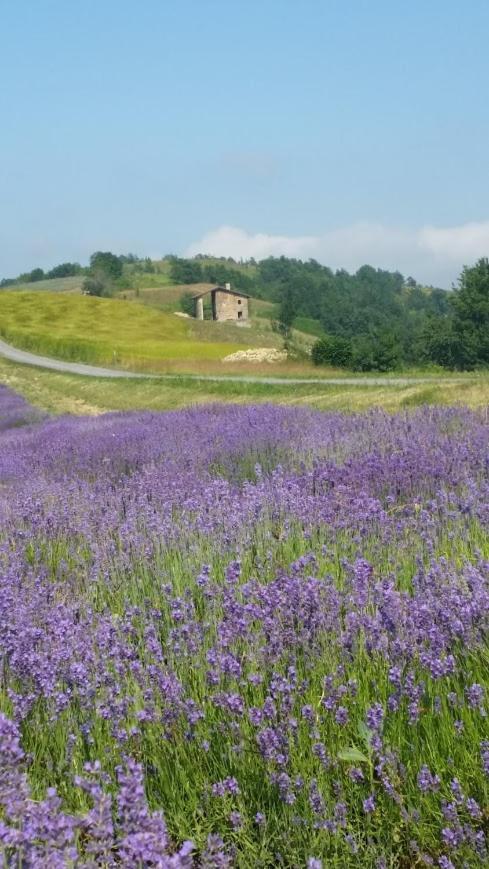 Residenza Anastasia Ceva Buitenkant foto