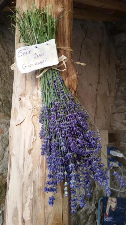 Residenza Anastasia Ceva Buitenkant foto